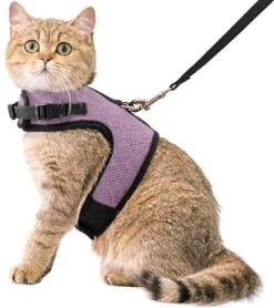 Kattentuigje Met Leiband Riem Kattenharnas Licht Paars Maat M Kat & Kitten – Dieren Kattenriem – Cat Leash – Halsomvang 20 Tot 26cm – Borstomvang 30 Tot 34cm – Zootic®