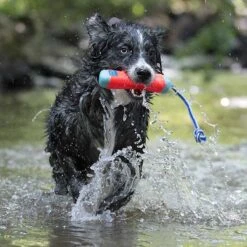Chuckit! Chuckit- Amphibious Bumper-honden Speelgoed- Drijvend Hondenspeelgoed -waterspeelgoed Hond