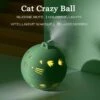 Elektrische Speel Bal Voor Katten – Crazy Cat Ball Speelgoed – Interactieve Stuiterbal – USB Oplaadbaar – Met Veertjes En Touwtjes – Zelf Bewegend