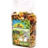 JR Farm – Fruitsalade – 200g – Verpakt Per 3 – Knaagdierensnack