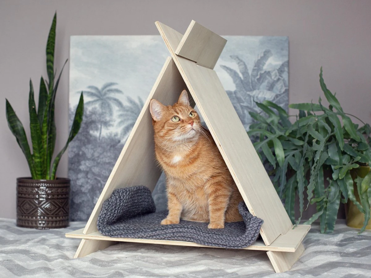 Teepee | Tipi | Speelhuisje | Kat | Konijn