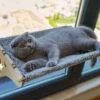 Houten Hangmat Voor Katten, 61 X 29 Cm, Raamzitplaats, Slaap-/zonneplek, Raamligstoel, Krachtige Zuignappen Tot 15 Kg, Veilig En Robuust