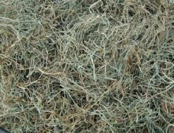 Eckhardt Kleinverpakkingen Hooi 2,5 Kilo (75 Liter)