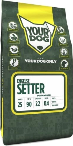 Engelse Setter