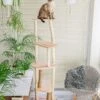Krabpaal Van Hout, Design Natuurlijke Krabpaal – Cat And Wood – BEIGE Kussens
