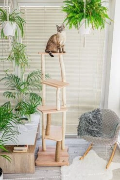 Krabpaal Van Hout, Design Natuurlijke Krabpaal – Cat And Wood – BEIGE Kussens