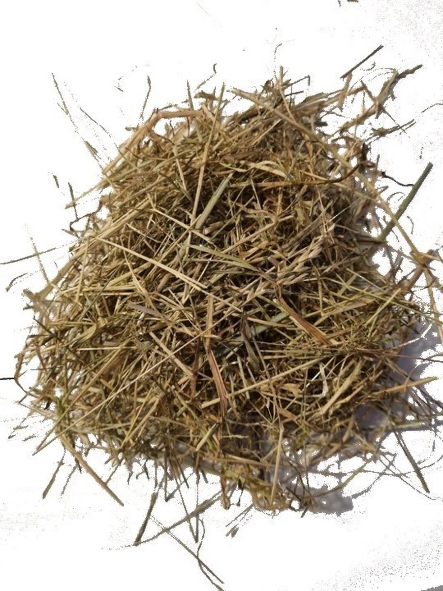 Hooi | Knaagdieren | Vers Product | Oogst 2022 | Voeding | 6 Kg |