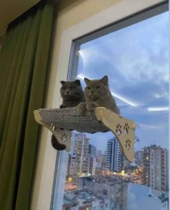 Arnillo – Kattenhangmat – Kattenhangmat Raam – Kattenmand – Kattenbed – Kattenbed Raam – Kat Decoratie – Houten Kattenhangmat