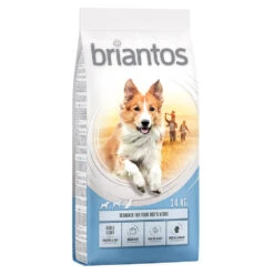 2x14kg Briantos Adult Light Hondenvoer